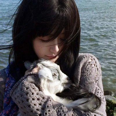 小美男鱼
