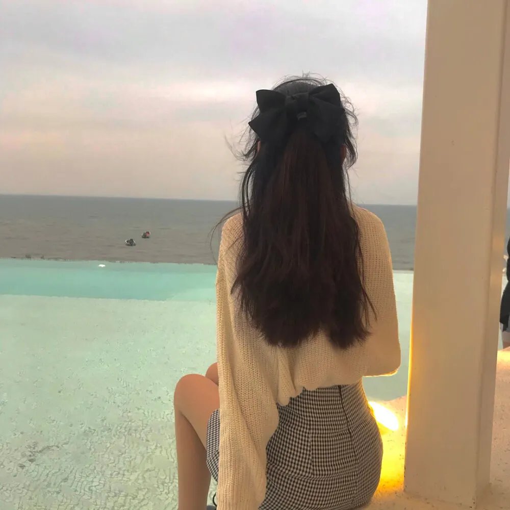 金刚斗恐龙